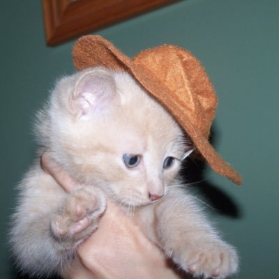 sadflab's profile picture. thoughts that cross the 🗣main line