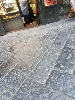 Vincenz36784083's profile picture. .