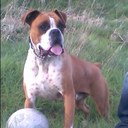 Sean Griffiths - @OXYG1 - Twitter