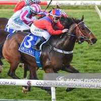 Jess philpot (@philpotjess) 's Twitter Profile