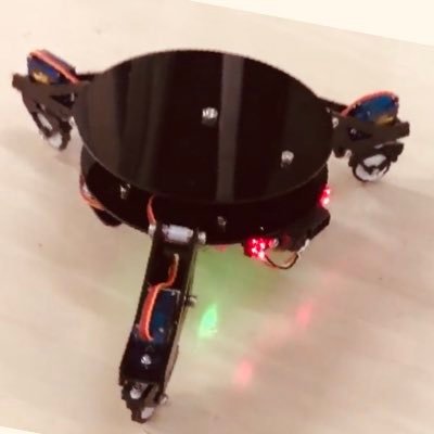 Aielのプロフィール写真