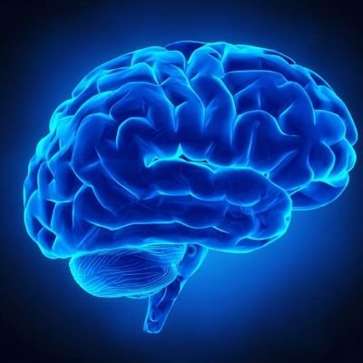 Propuesta de creación de software dedicado para recuperación de daño cerebral adquirido