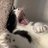 Pam Keith's tweet about Kellyanne Conway's appearance slammed as 'vulgar, unprofessional' 6 O9yjTXoI normal