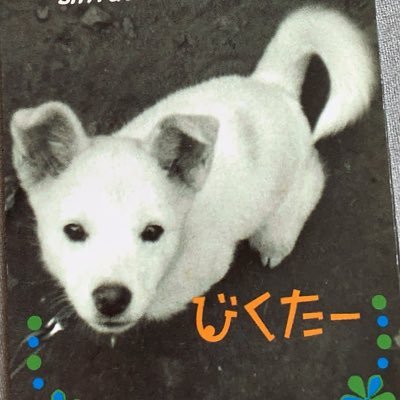 いつも、いいね。RT。ありがとうございます( ᐡ. ̫ .ᐡ )✨自分が使って使いやすくて、可愛いく❤綺麗॑॑⸜(* ॑꒳ ॑* )⸝⋆*な布小物を製作しています。ミンネ https://t.co/FcjgWHYSVNのギャラリーよりご購入頂けます。宜しくお願い致します( ᐡ. ̫ .ᐡ )♥゛