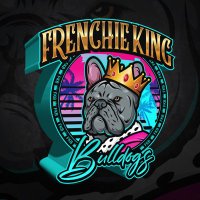 π Frenchie King Bulldogs π (@frenchieking01) 's Twitter Profile