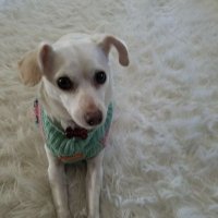 Tina (@tachambers01) 's Twitter Profile