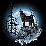 GeorgeJQuinn1's profile picture. George J Quinn