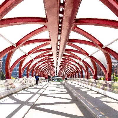 CalgaryIndian's profile picture. 