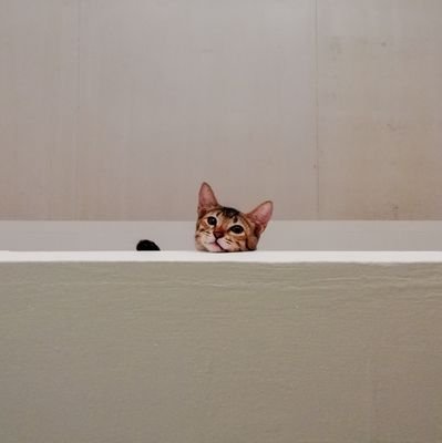 zyraisiderio's profile picture. 