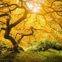 Mental Health (@mentalhretweet) 's Twitter Profile