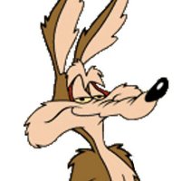 Wile E.Coyote 🐾🌵(@Attilla_IV) 's Twitter Profile Photo