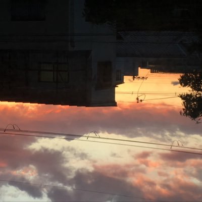 hello5hello55's profile picture. 