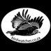 Ben Birdwatcher (@birdwatchersa) Twitter profile photo Ben Birdwatcher (@birdwatchersa) Twitter profile photo