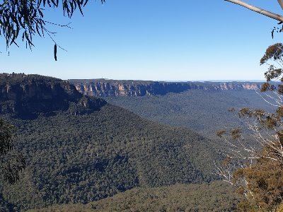 Food innovation, alternative proteins, compassion, social justice, Rewilding at Baamirra Sanctuary, Leeton, Australia. Originator Future Food Riverina.