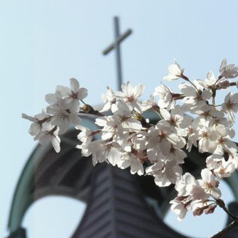 actses's profile picture. You want to serve God in Japanese as well as in English. We do too. Why not join us for college in Japan? We can get you here in 3 easy steps.