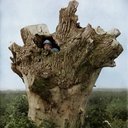 jack tse - @jacktse17 - Twitter