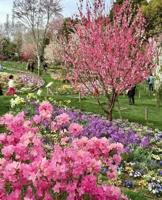 Mehdi49330975's profile picture. 