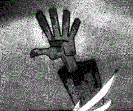 cloverbio's profile picture. 