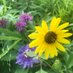 NatureLIVE! Texas (@naturelivetexas) Twitter profile photo NatureLIVE! Texas (@naturelivetexas) Twitter profile photo