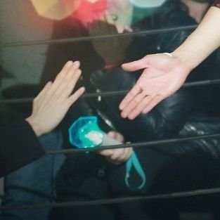 생강(입니다만)さんのプロフィール画像