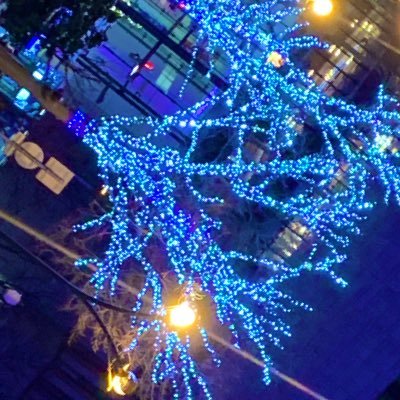 kikuemon242's profile picture. 気ままにね