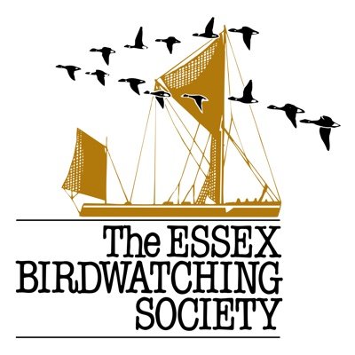 The EBwS's aim is to promote birdwatching & all bird conservation issues in Essex with news gleaned from local & national sources. Tag us with #essexbirding