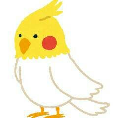 bennytabmedias's profile picture.