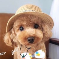 anとぱぱ (@myuki00) 's Twitter Profile