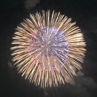もりんご@取引垢 (@efkw6yb1e7jvdko) 's Twitter Profile