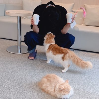 leon082376's profile picture. 松1→習志野→千葉工大 電気電子工学科