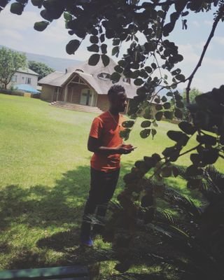 Hghnss1's profile picture. Goat