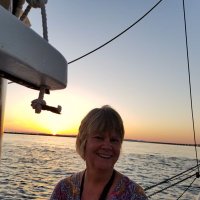 Susan Swanson - @scswans Twitter Profile Photo