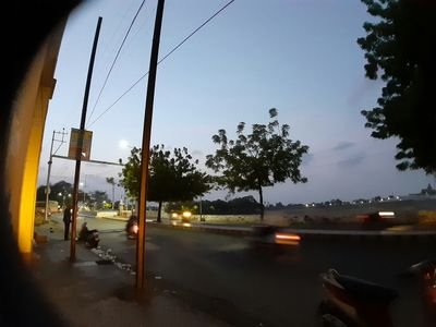 mwk1n's profile picture. 