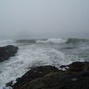 Andrew Bentley - @Bentley238 - Twitter