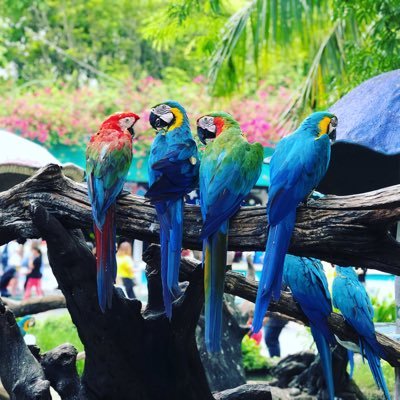 iamnithyak's profile picture. 