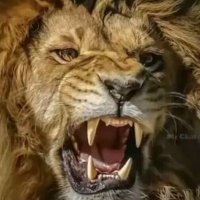 धर्माधिकारी #ETF (@etf_rw) Twitter profile photo