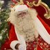 Christmas Shopping Fayre (@shoppingfayre) Twitter profile photo Christmas Shopping Fayre (@shoppingfayre) Twitter profile photo