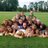 titansfockey's profile image