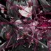 ãã¿ã¿ã(hatunezumi) (@zumi_hatune39) Twitter profile photo ãã¿ã¿ã(hatunezumi) (@zumi_hatune39) Twitter profile photo