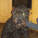 Emma Hartman - @Smurphs2323 - Twitter