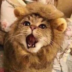 TheHockeyPuckTV's profile picture. 