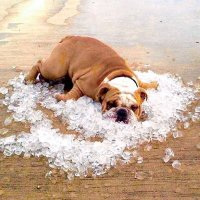 küçük bir mola (@seda38845910) 's Twitter Profile