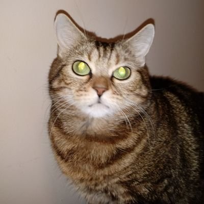 miss_loretta22's profile picture. 