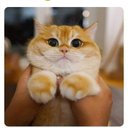 Erick Colque - @ErickChoYT - Twitter