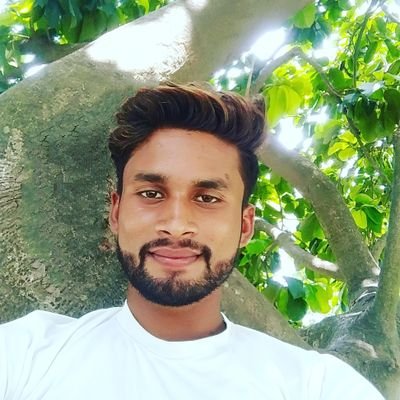 AlokRaj86519's profile picture. 