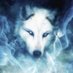 She-Wolf (@SheWolfResists) Twitter profile photo