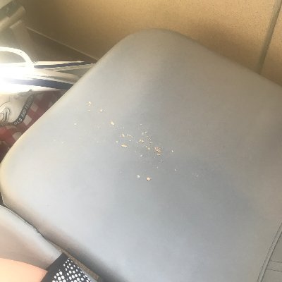 sloppyass_eater's profile picture. oh no, my cookies!