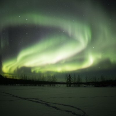 Your aurora borealis and winter adventure specialist in the Yukon.