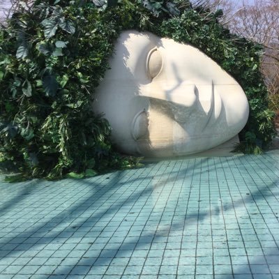 Wil6 4 Mizuki 自由の反対語は 不安 である また 日本社会における不安は 主に企業というシステムが生み出している 働き方改革 老後 Wil 脱サラ