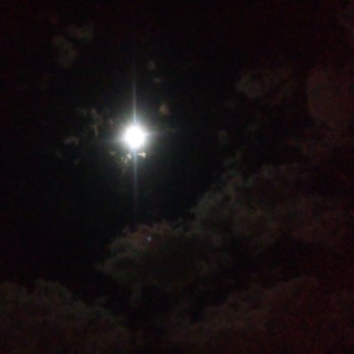 lolas456's profile picture. follow me _D